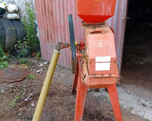 Moledora de Granos Loyto N4