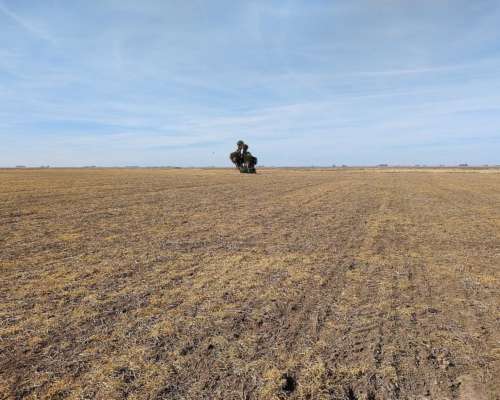 70 Has Agricolas 6000 Zona Marcos Juarez Oportunidad