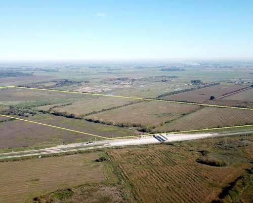 140 Has. Campo Sobre Ruta 6, Cañuelas - las Heras