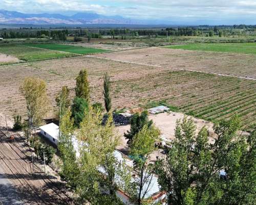 Finca con D° Riego, Pozo y Goteo. Excelente Ubicación