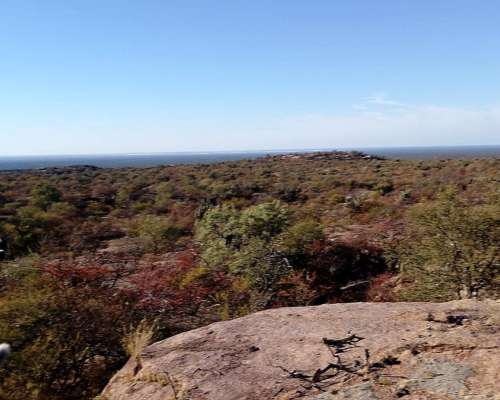 Chamical 8.500 Has Ganaderas