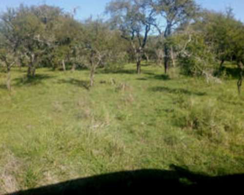 Vendo /permuto Campo en San Luis