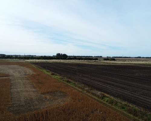 107 Has o 77 y 1/2 en Miramar - de Lujo -