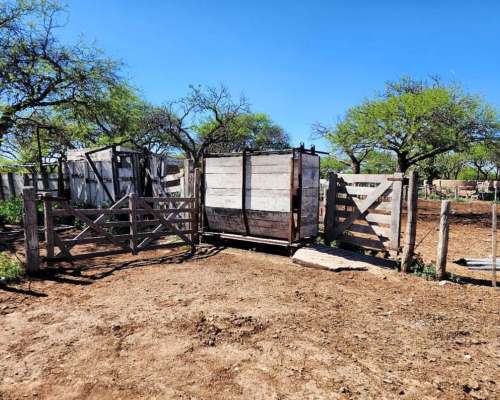 Juan Martin de Pueyrredón, San Luis - 2.350 Ha