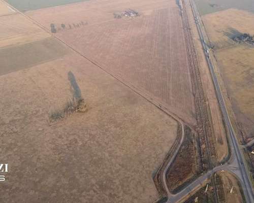 40 Has en San Genaro Sobre Ruta