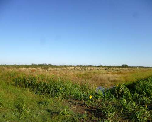 8.443 Has. en Venta - Logroño, 9 de Julio - Santa FE.