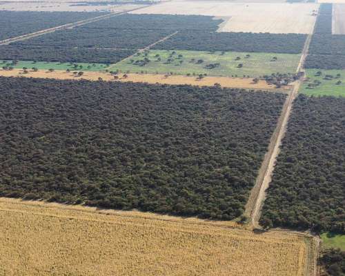 La Pampa al Norte 700 Has Mixtas