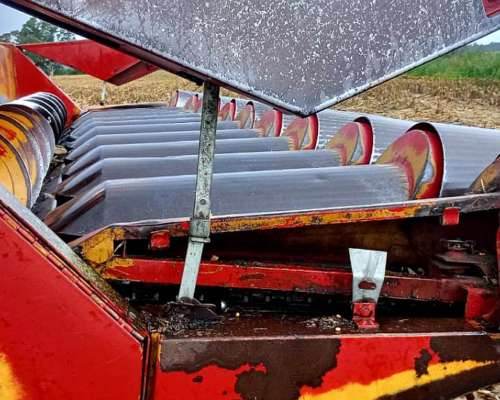 Maicero Mainero 2000, año 2008 de 11 a 52 cm