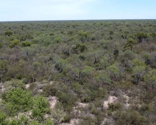 Excelenta Campo en Zona Amama