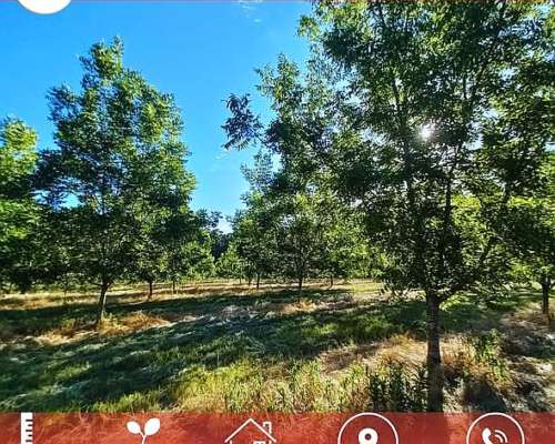 𝟏𝟎 𝐇𝐞𝐜𝐭𝐚́𝐫𝐞𝐚𝐬 𝐝𝐞 𝐏𝐞𝐜𝐚𝐧𝐞𝐬