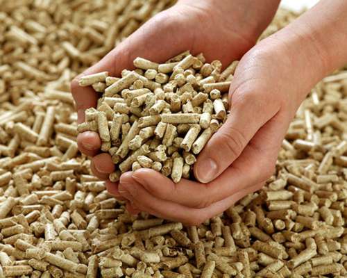 Plantas para Producción de Pellets de Aserrin Biomasa