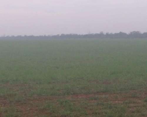Vendo Campo Mixto en el Bobadal.
