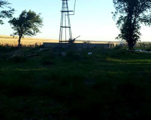 Campo en Venta – Zona Chaján 313 Hectáreas