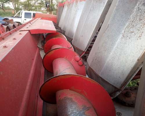 Maicero Mainero 1889 de 6 a 70