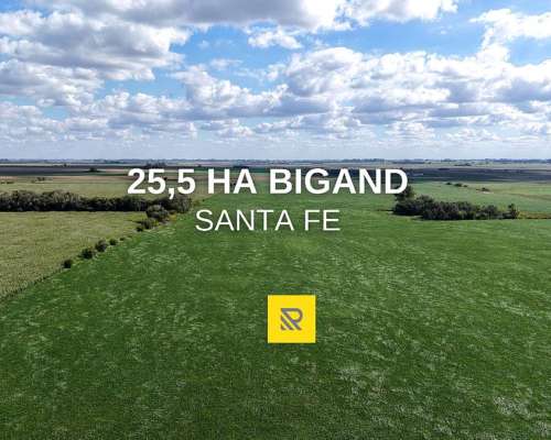 25,5ha Bigand Santa FE