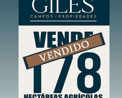 Campo 178 Hectáreas Agrícola