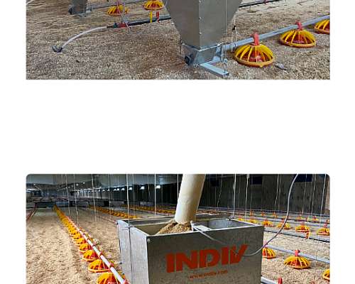 Se Vende Implementar para Engorde de Pollo Parrillero