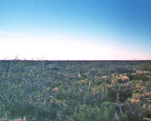 15.000 Ha Cullen Leufu, Rio Negro