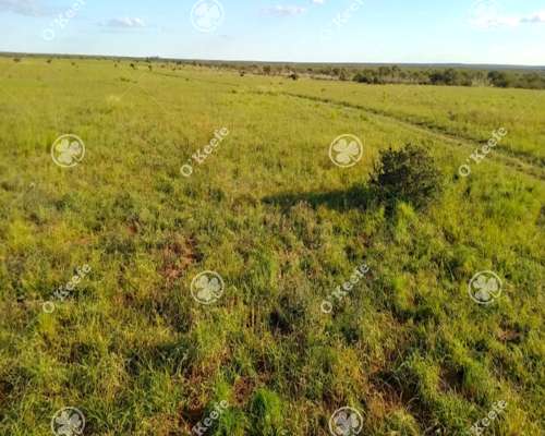 Campo en Venta de 3945 Has San Luis. Mixto