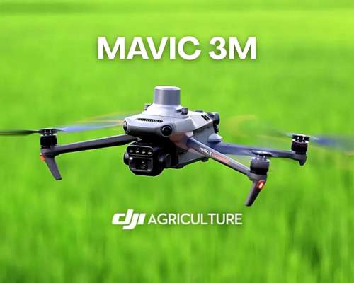 Drone DJI Mavic 3 Multispectral