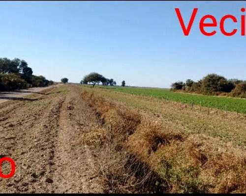 Oferta: Campo de Monte en Estación Robles. para Desarrollar