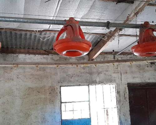 Bebederos y Comederos para Galpón de 70 Metros