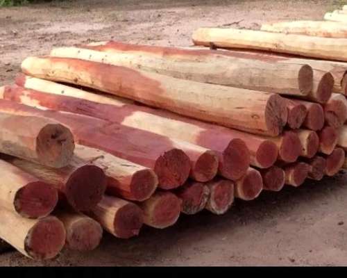 Postes Itin Quebracho Colorado