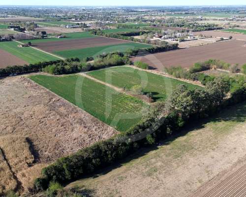 Terreno 20.000 M2 en Córdoba- Camino a San Carlos