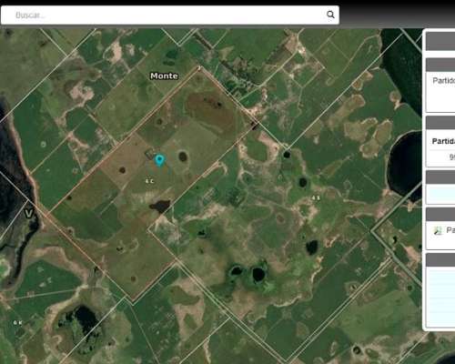 Monte Venta 370 Ha Agricolas a 1 Hora de Bsas