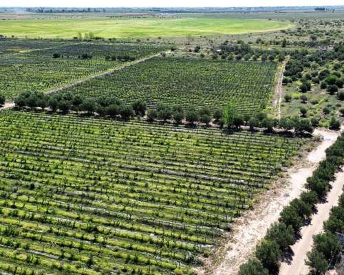 Finca Orgánica de 32 Sobre Ruta 7