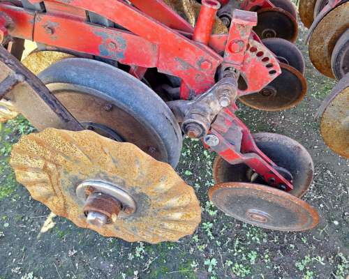 Semb Fino - Crucianelli Pionera 21 a 26