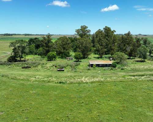 Campo Sobre Ruta en Maipú