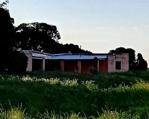 133 Has Campo Mixto Agrícola Ganadero en Lobería