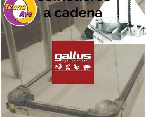 Comederos Automaticos para Aves