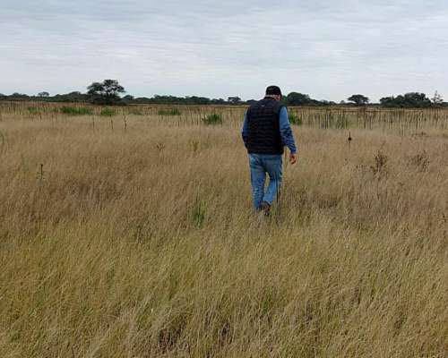 Vendo 3800 Has. Mixtas en el Norte de Santa FE.