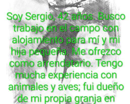 Trabajo con Alojamiento Busco