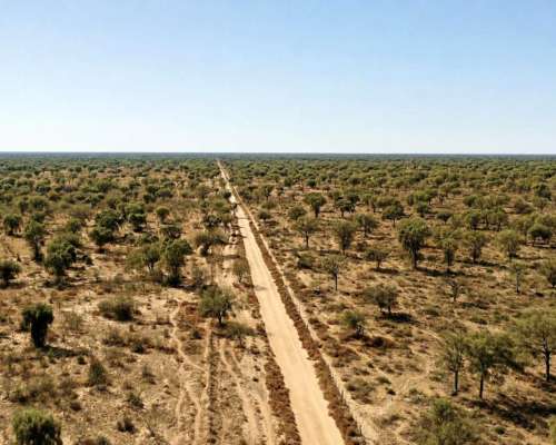 Guanaco Muerto, Cruz del Eje, Córdoba - 4.500 Ha