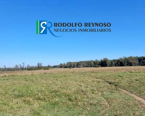 Campo 92 HA. en Concordia (entre Ríos)
