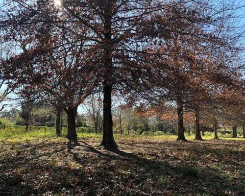 7 Estupendos Terrenos en las Lomadas, los Cardales