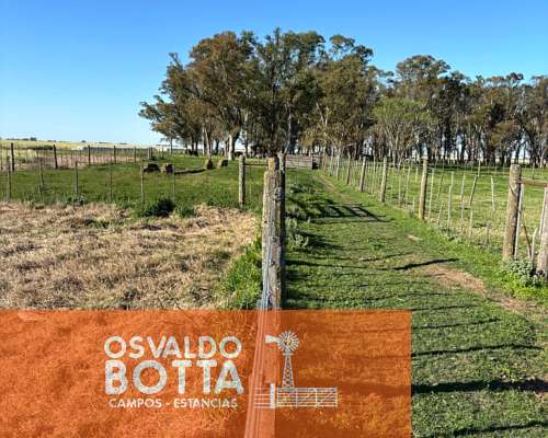 Campo Mixto en Venta, 1654has Carlos Tejedor