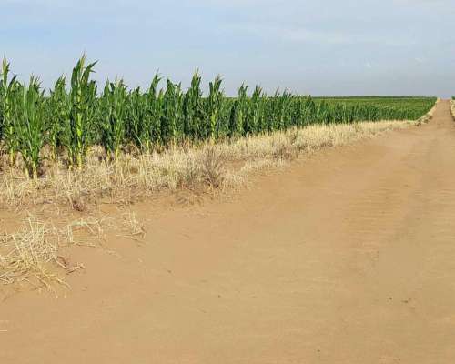 Pcia. de San Luis - Nahuel Mapa 3458 Ha