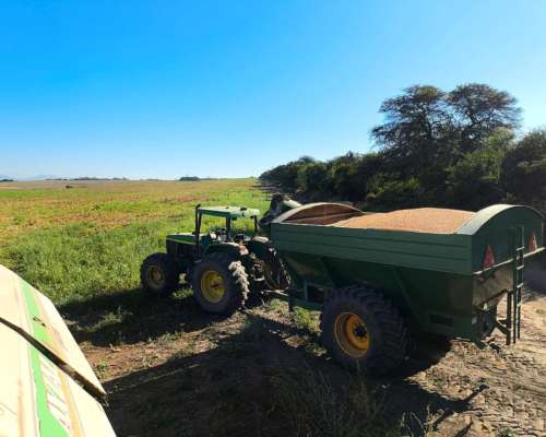 Contratista Rural: Servicio de Cosecha