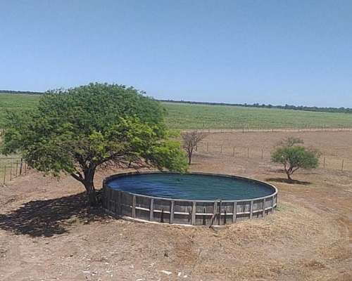 Campo Mixto 1500 Has. en Obispo Trejo, Cordoba