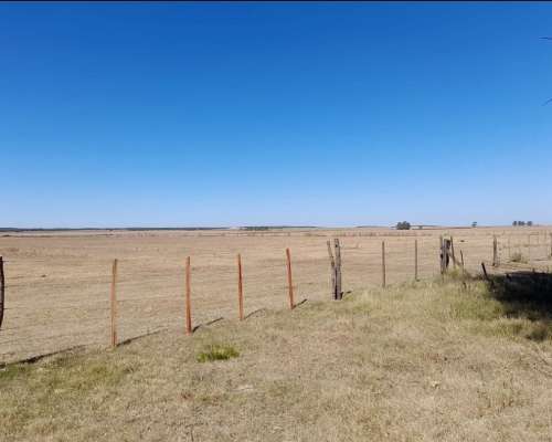 Inmobiliaria Pousa Vende 4500 Has Mixtas (zona Río Cuarto)