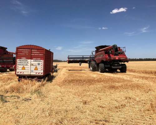 370 Has Agricolas Loberia, BS AS