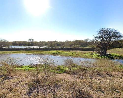 Dueño Vende Campos Mixto