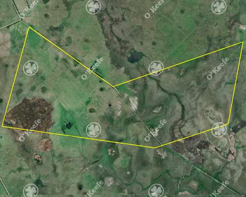 Campo Ganadero en Venta de 344 Has en Dolores