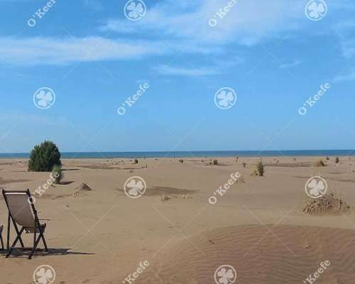 Campo en Venta de 135 Has en Tres Arroyos
