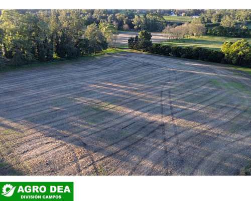 Campos en Venta en el Sudeste de la Provincia de Buenos Aire