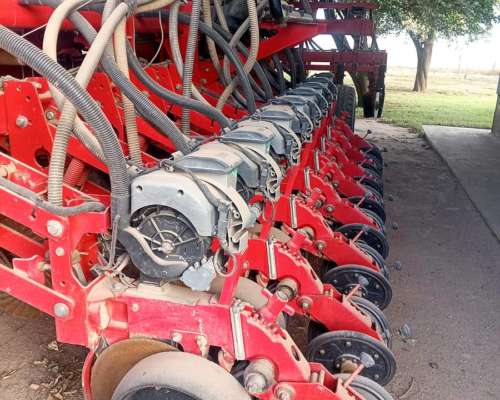 Crucianelli Plantor Precision Planting 24 a 52